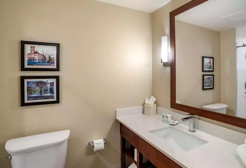 ホテル Comfort Inn & Suites