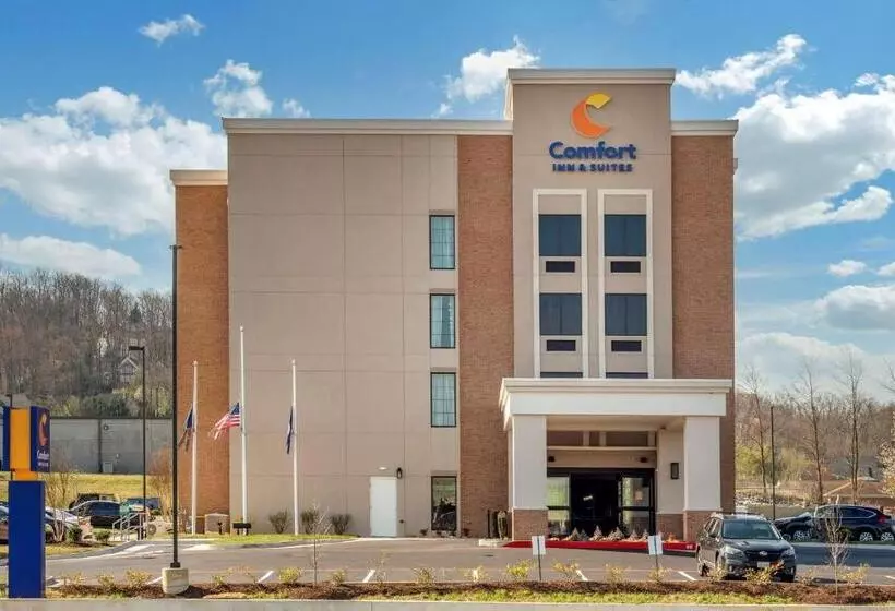 ホテル Comfort Inn & Suites