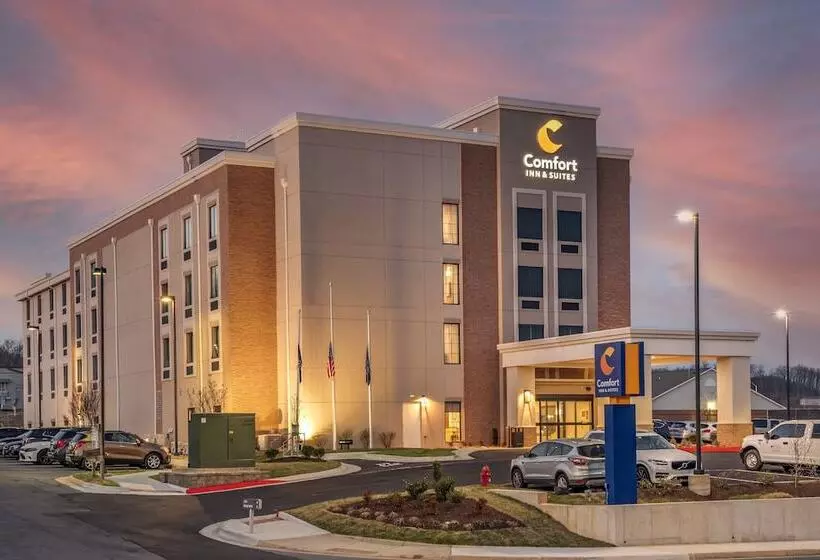 ホテル Comfort Inn & Suites