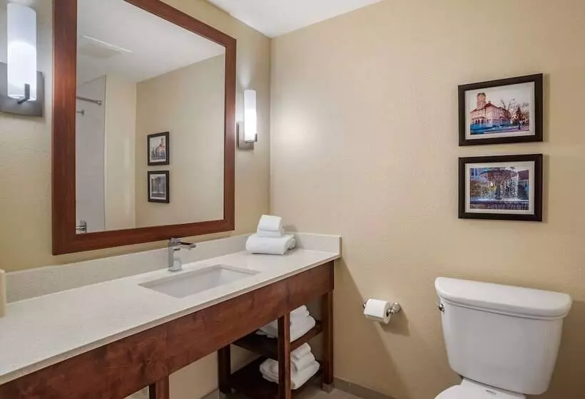 ホテル Comfort Inn & Suites