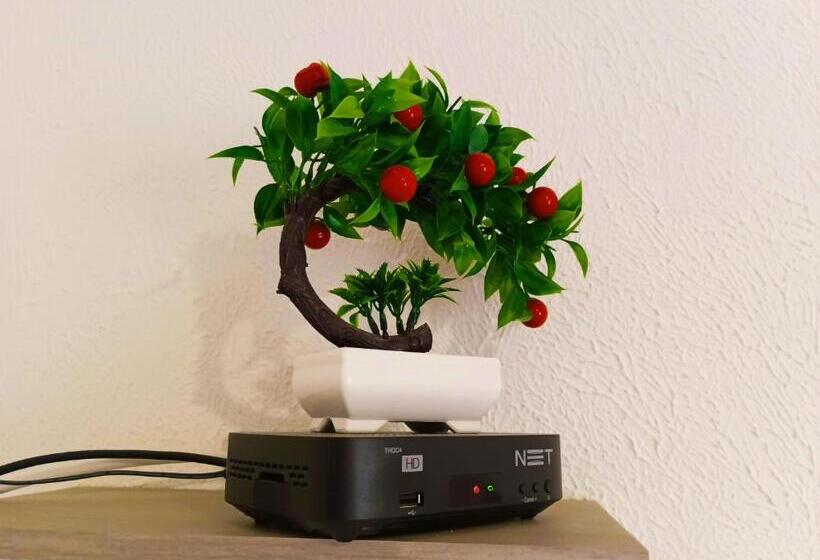 Pension Pousada Executiva Solriso Aeroporto Florianópolis