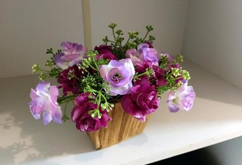 Pension Pousada Executiva Solriso Aeroporto Florianópolis