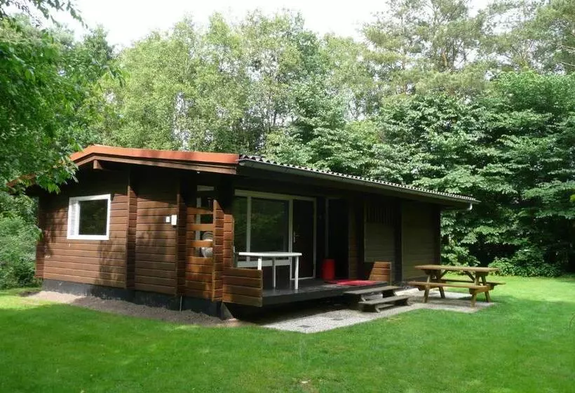 リゾートホテル Finse Bungalow 4p, Comfort