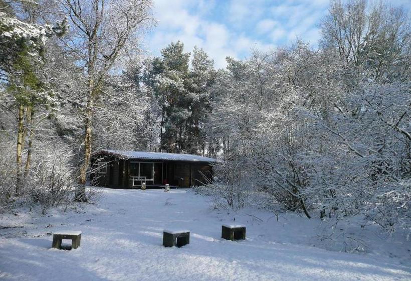 Resort Finse Bungalow 4p, Comfort