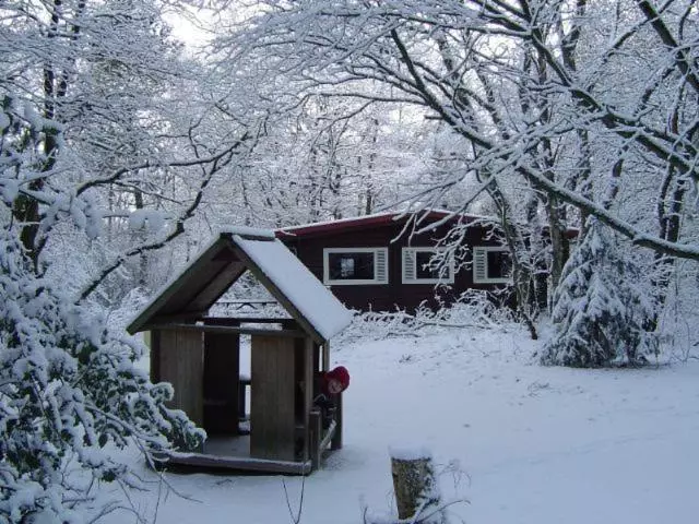 リゾートホテル Finse Bungalow 4p, Comfort