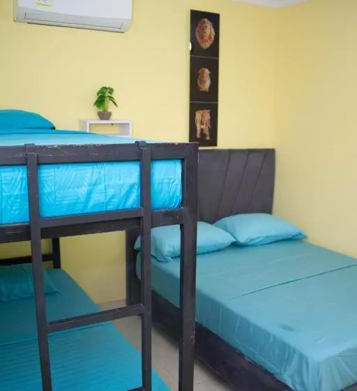 تختخواب و صبحانه Comfort House