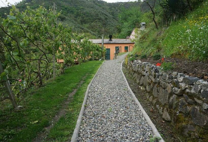 ホテル Agriturismo U Muinettu