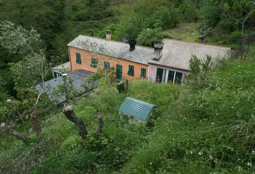 ホテル Agriturismo U Muinettu