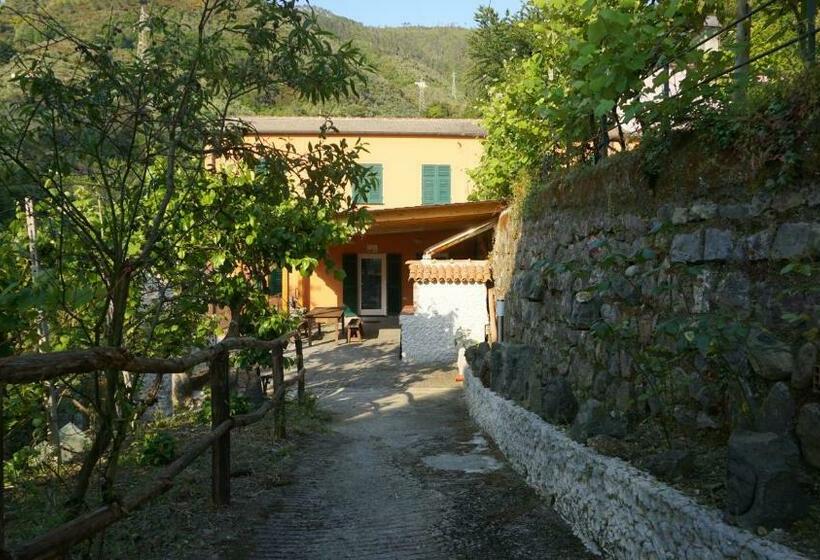 ホテル Agriturismo U Muinettu