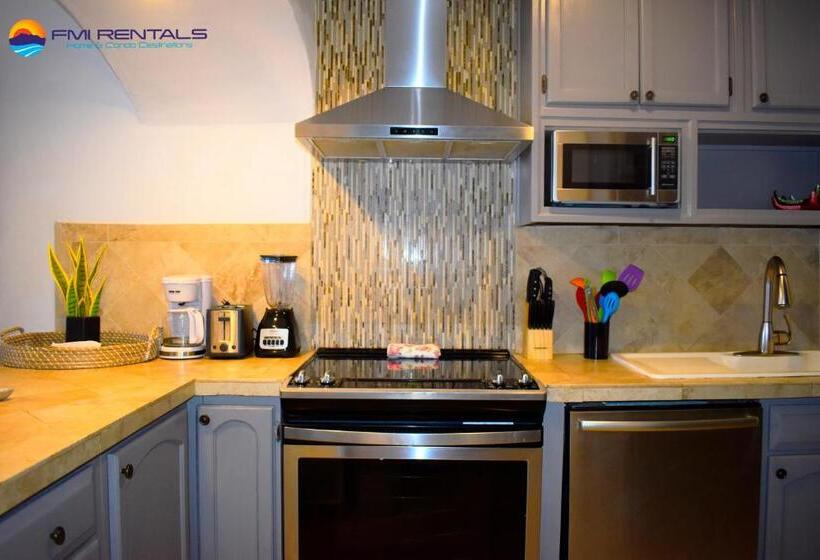 Marina Pinacate C 501