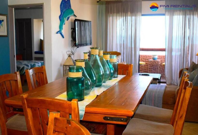 Marina Pinacate C 501