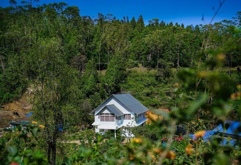 ペンション Oyo 77946 Skylark