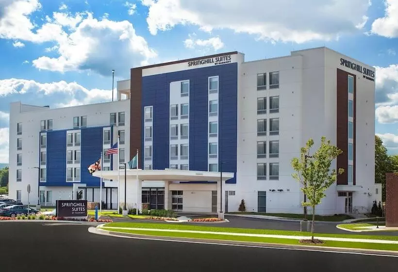 ホテル Springhill Suites By Marriott Frederick