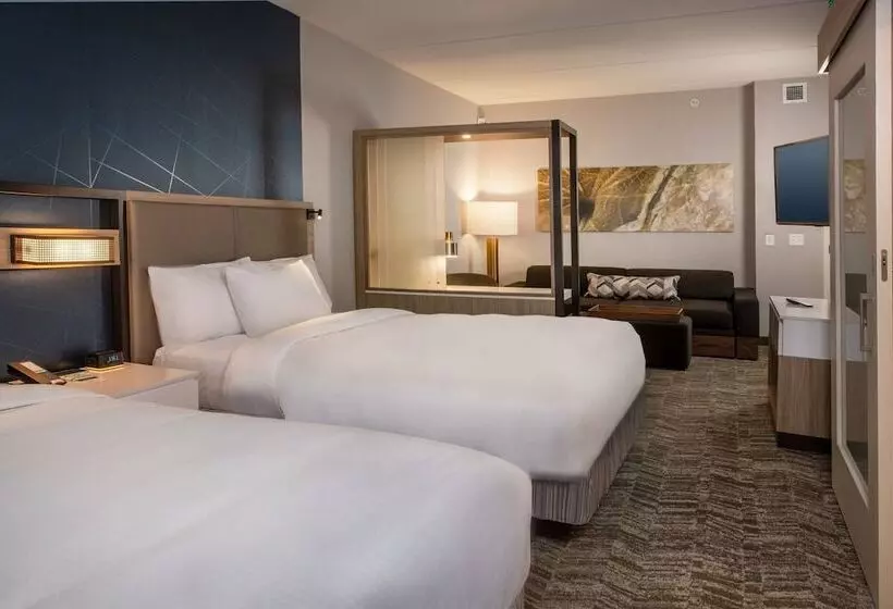 ホテル Springhill Suites By Marriott Frederick