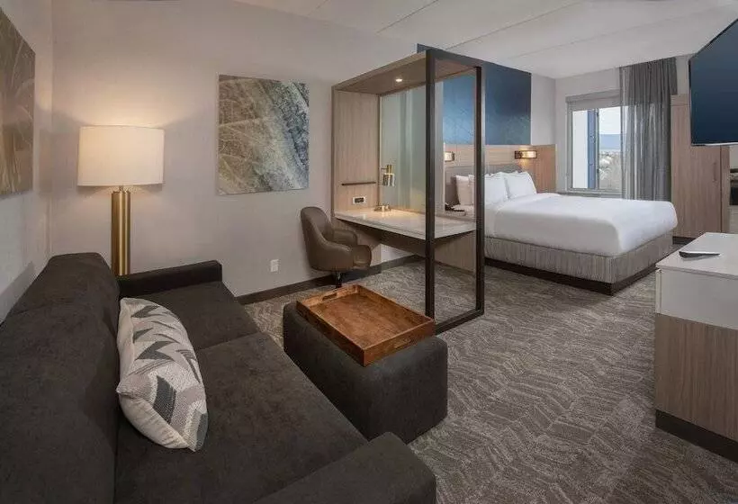 ホテル Springhill Suites By Marriott Frederick