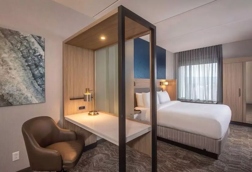 ホテル Springhill Suites By Marriott Frederick