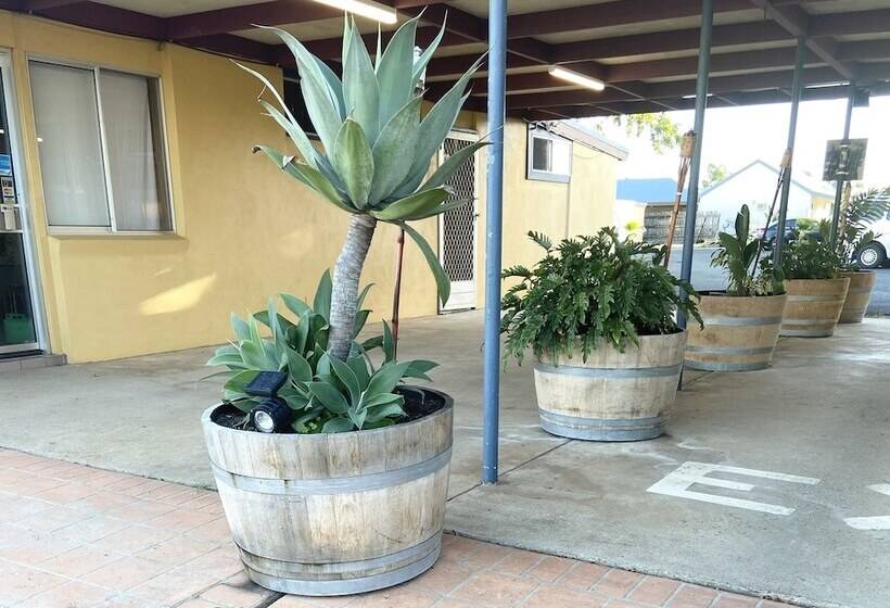 Мотель Proserpine Motor Lodge