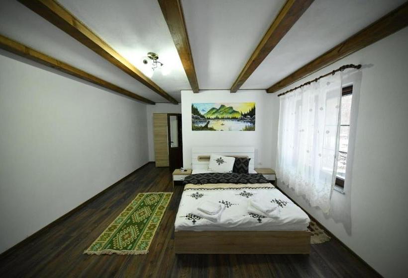 Pensiune Conacul Cosăului