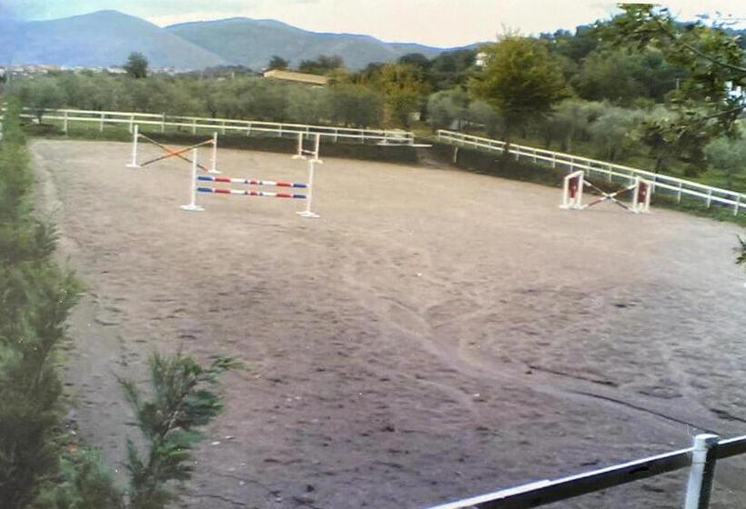 ベッドアンドブレックファースト La Tenuta Del Barone