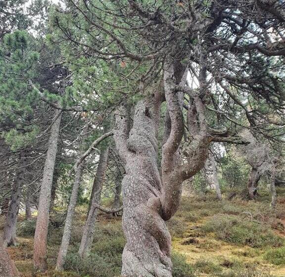 Nostalgie Bed & Breakfast Chrämerhus