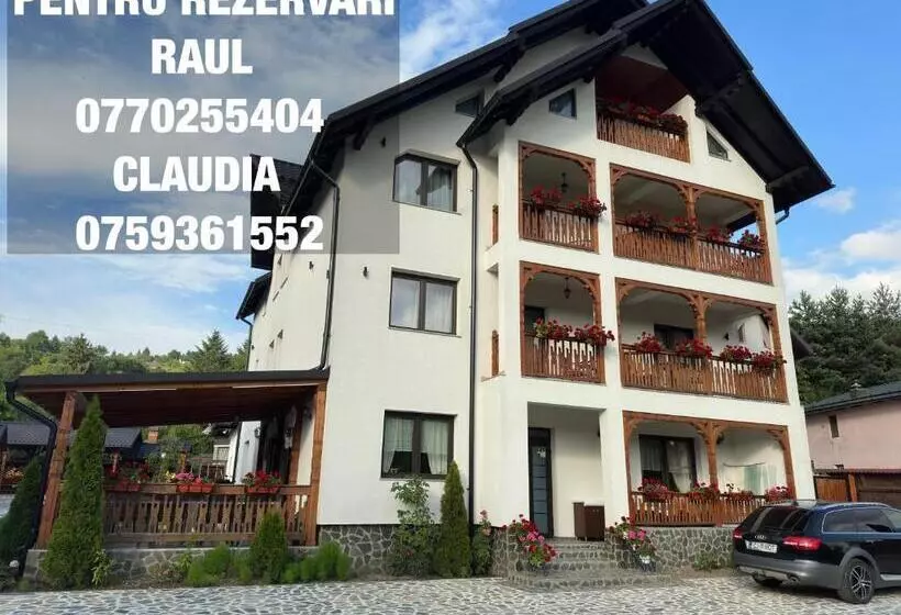 ペンション Casa Maramureșană