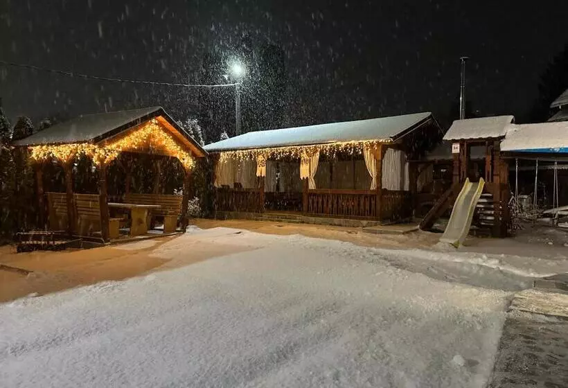 ペンション Casa Maramureșană