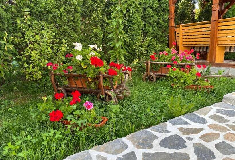 پانسیون Casa Maramureșană