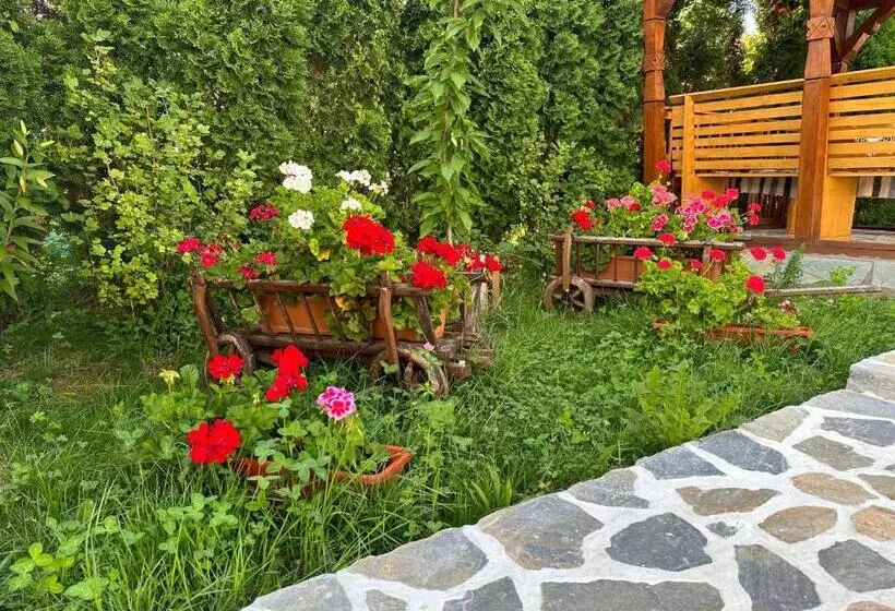 ペンション Casa Maramureșană