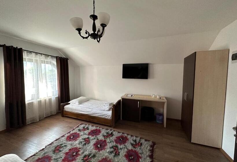 پانسیون Casa Maramureșană