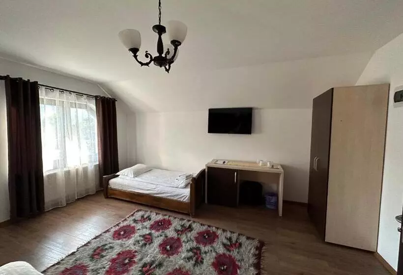 ペンション Casa Maramureșană