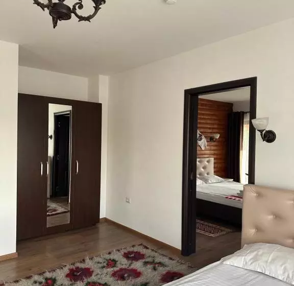 ペンション Casa Maramureșană