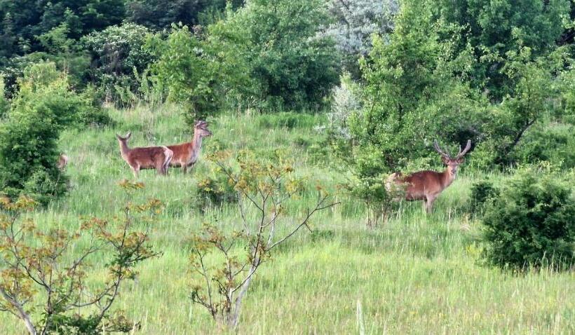 بنسيون Réteskert Vendégház és Apartman