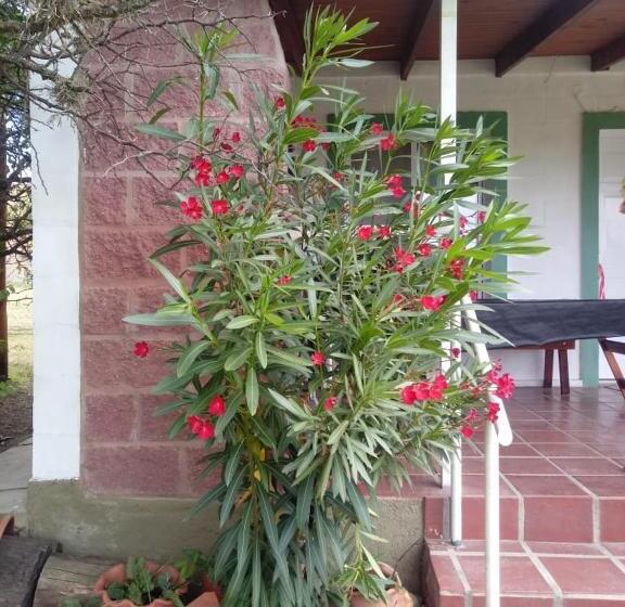 旅馆 Cabañas El Recodo De Potrero