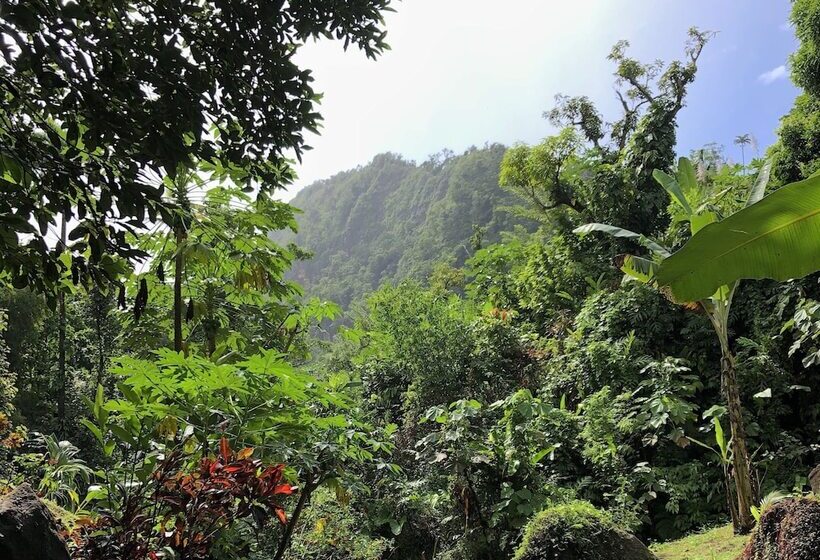 تختخواب و صبحانه Cocoa Cottage