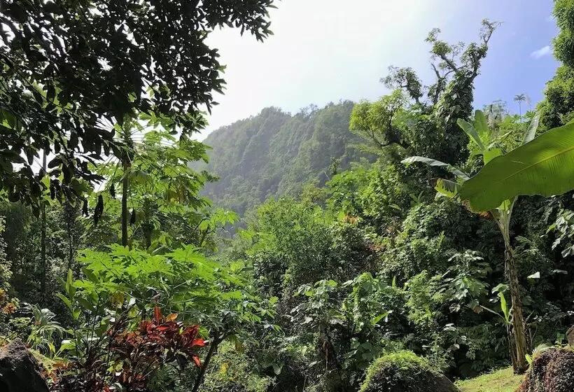 تختخواب و صبحانه Cocoa Cottage