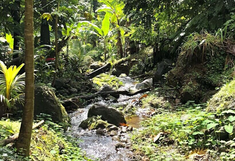 تختخواب و صبحانه Cocoa Cottage