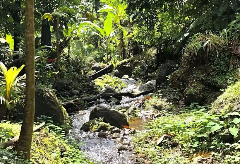 تختخواب و صبحانه Cocoa Cottage