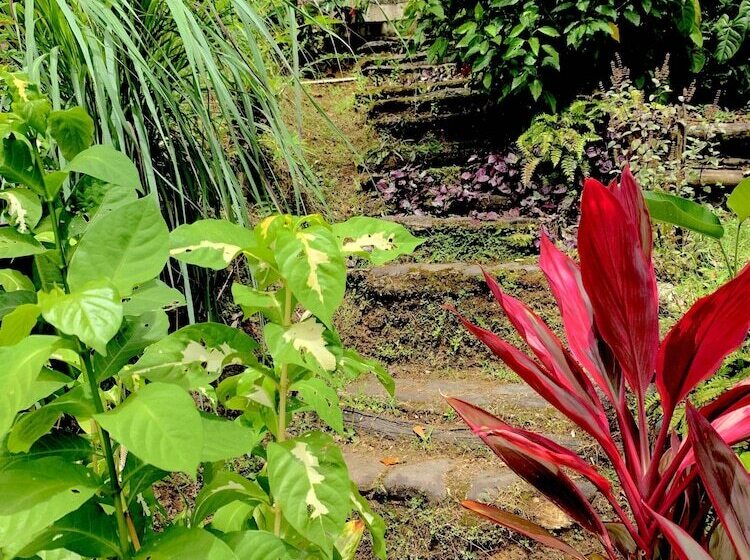 تختخواب و صبحانه Cocoa Cottage