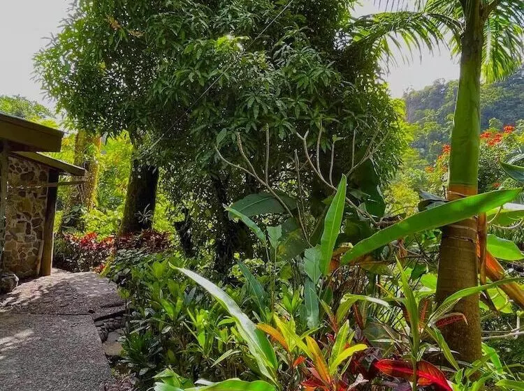 تختخواب و صبحانه Cocoa Cottage