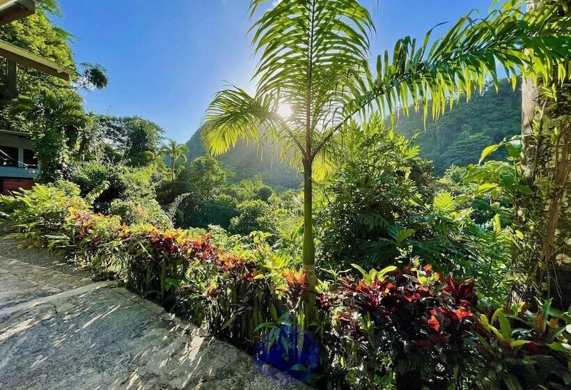 تختخواب و صبحانه Cocoa Cottage