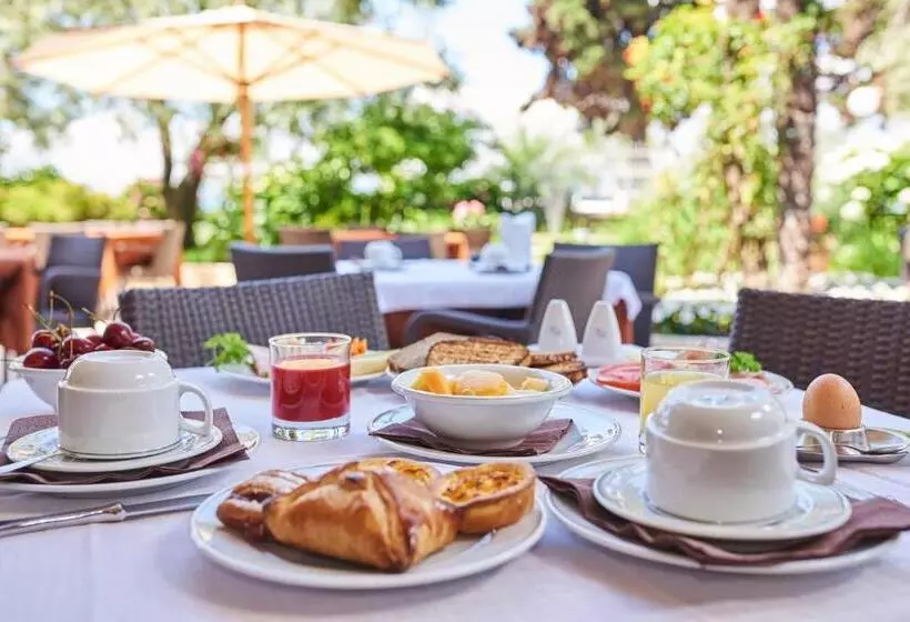 Hotelli Benacus Torri Del Benaco