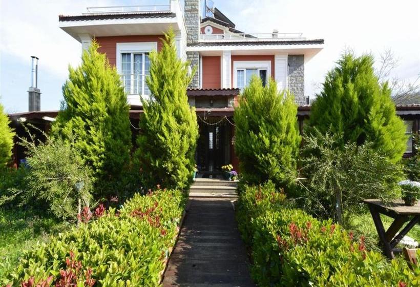 هتل Destina Boutique