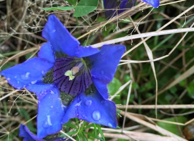 فندق Neusacherhof