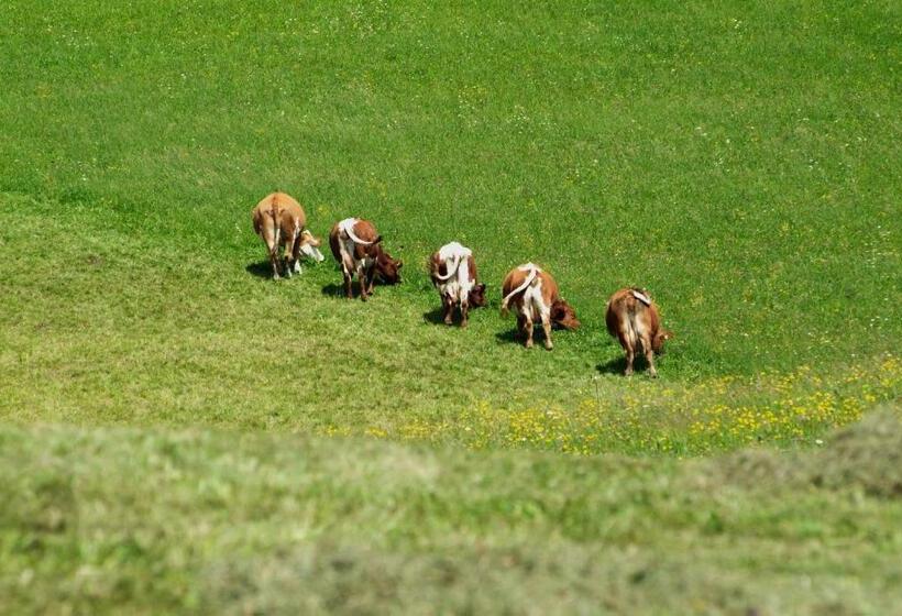 فندق Neusacherhof