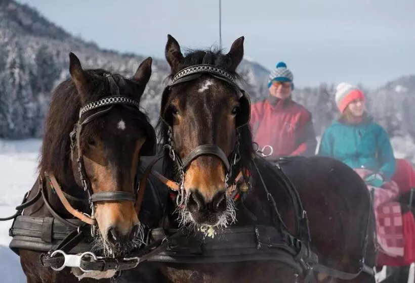 Hotelli Neusacherhof