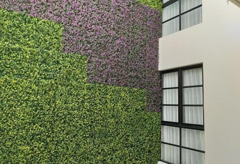 Otel 9 Estrellas Casa