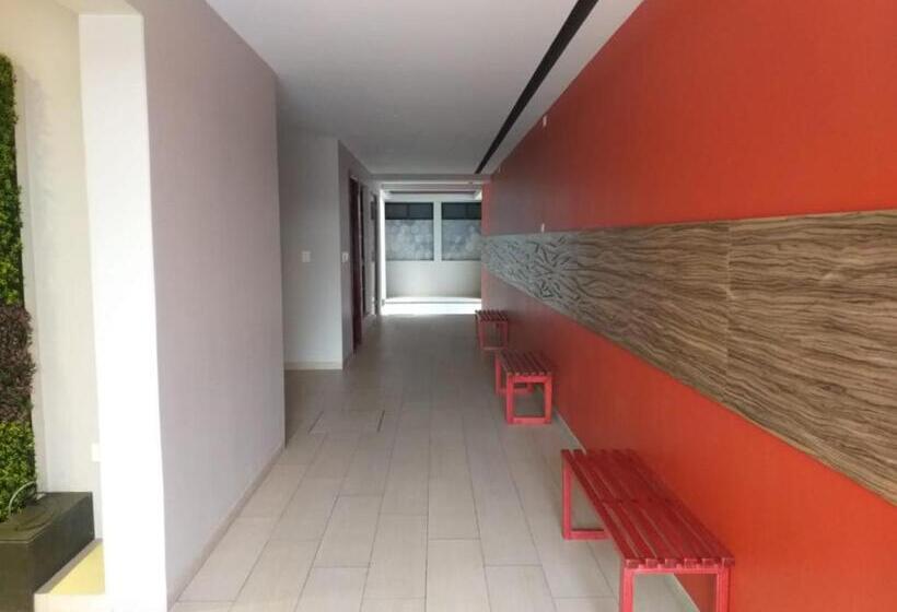 Otel 9 Estrellas Casa