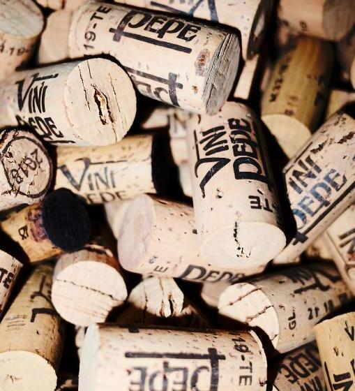 酒店 Agriturismo Emidio Pepe