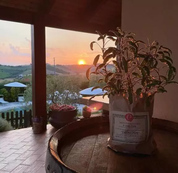 ホテル Agriturismo Emidio Pepe