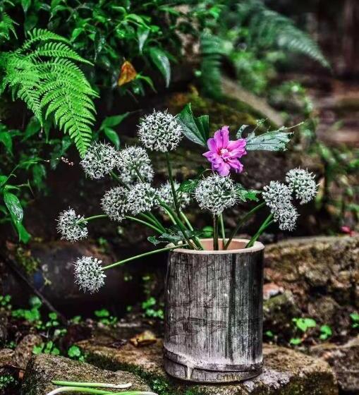 בית מלון כפרי Longji Terrace La Vie Inn